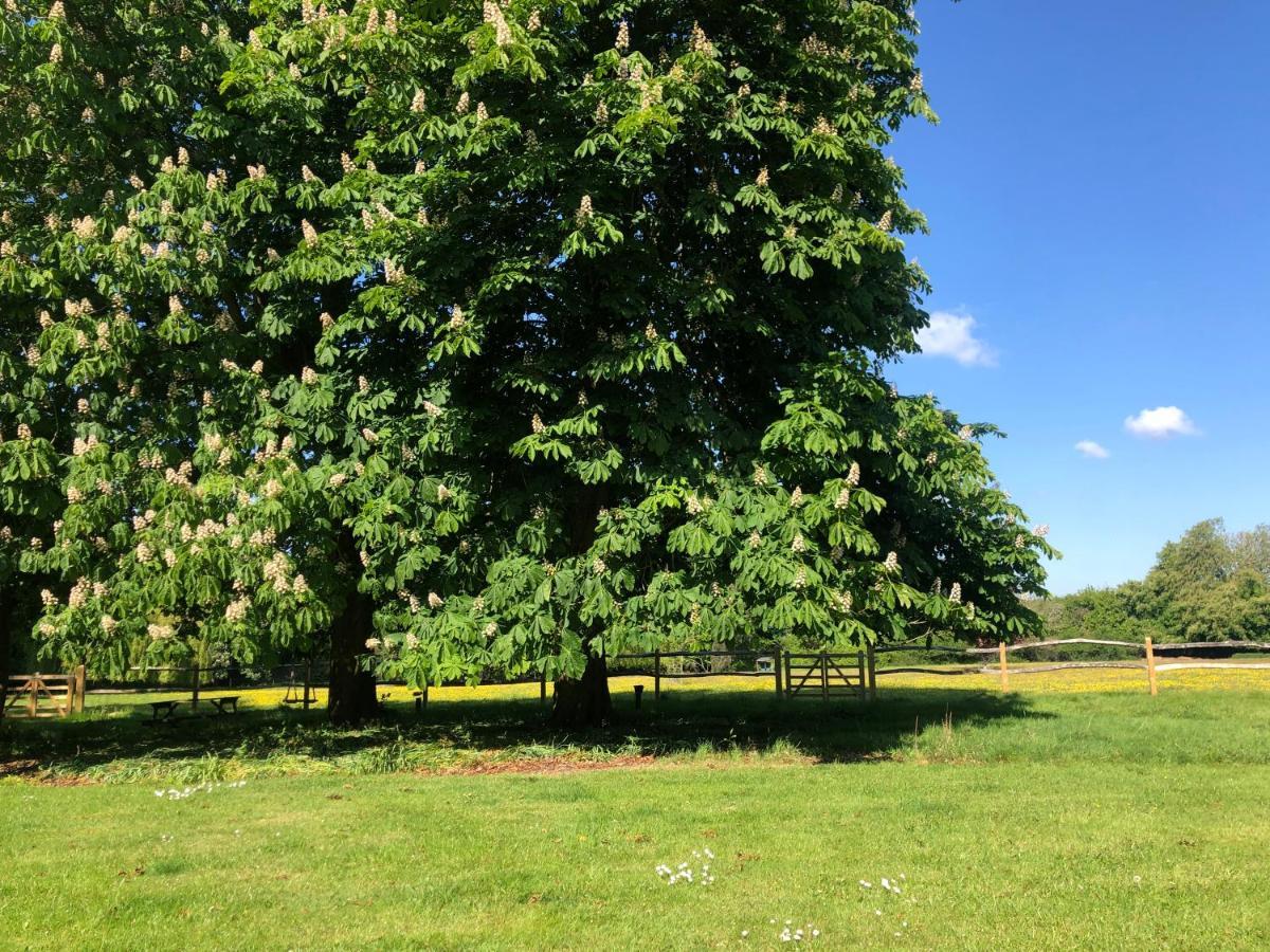 Ryefield Cottage - Luxurious Self-Catered Holiday Cottage With A Log Burner Chichester Eksteriør bilde