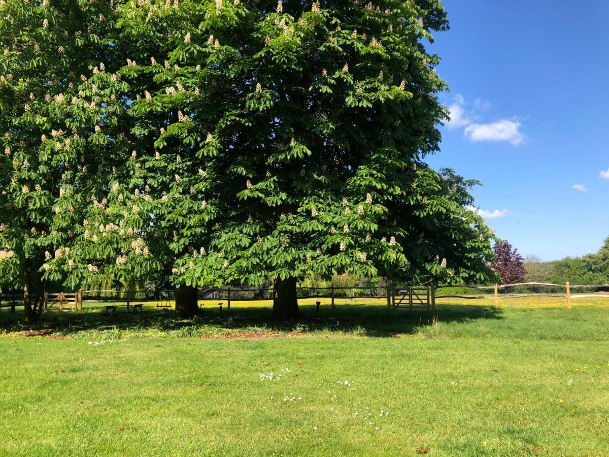 Ryefield Cottage - Luxurious Self-Catered Holiday Cottage With A Log Burner Chichester Eksteriør bilde