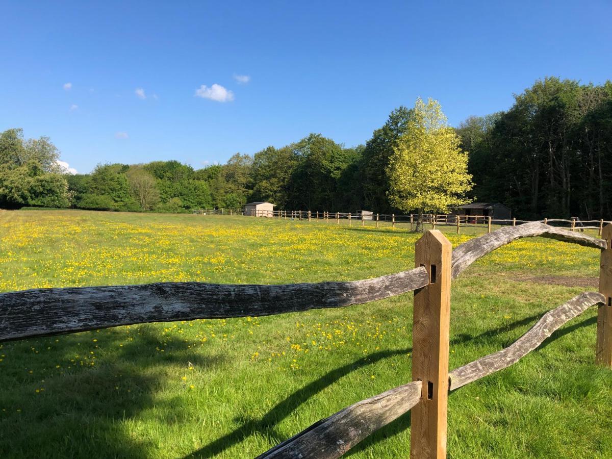 Ryefield Cottage - Luxurious Self-Catered Holiday Cottage With A Log Burner Chichester Eksteriør bilde