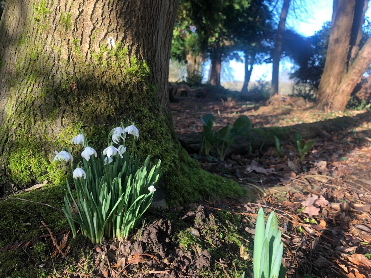 Ryefield Cottage - Luxurious Self-Catered Holiday Cottage With A Log Burner Chichester Eksteriør bilde